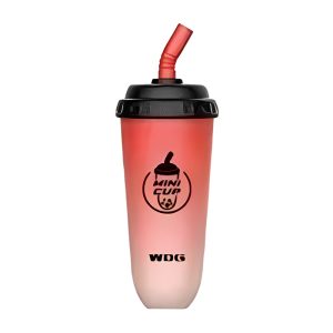 WDG Mini Cup Jednorázové Vape 5000 Puffs - Meloun Ice